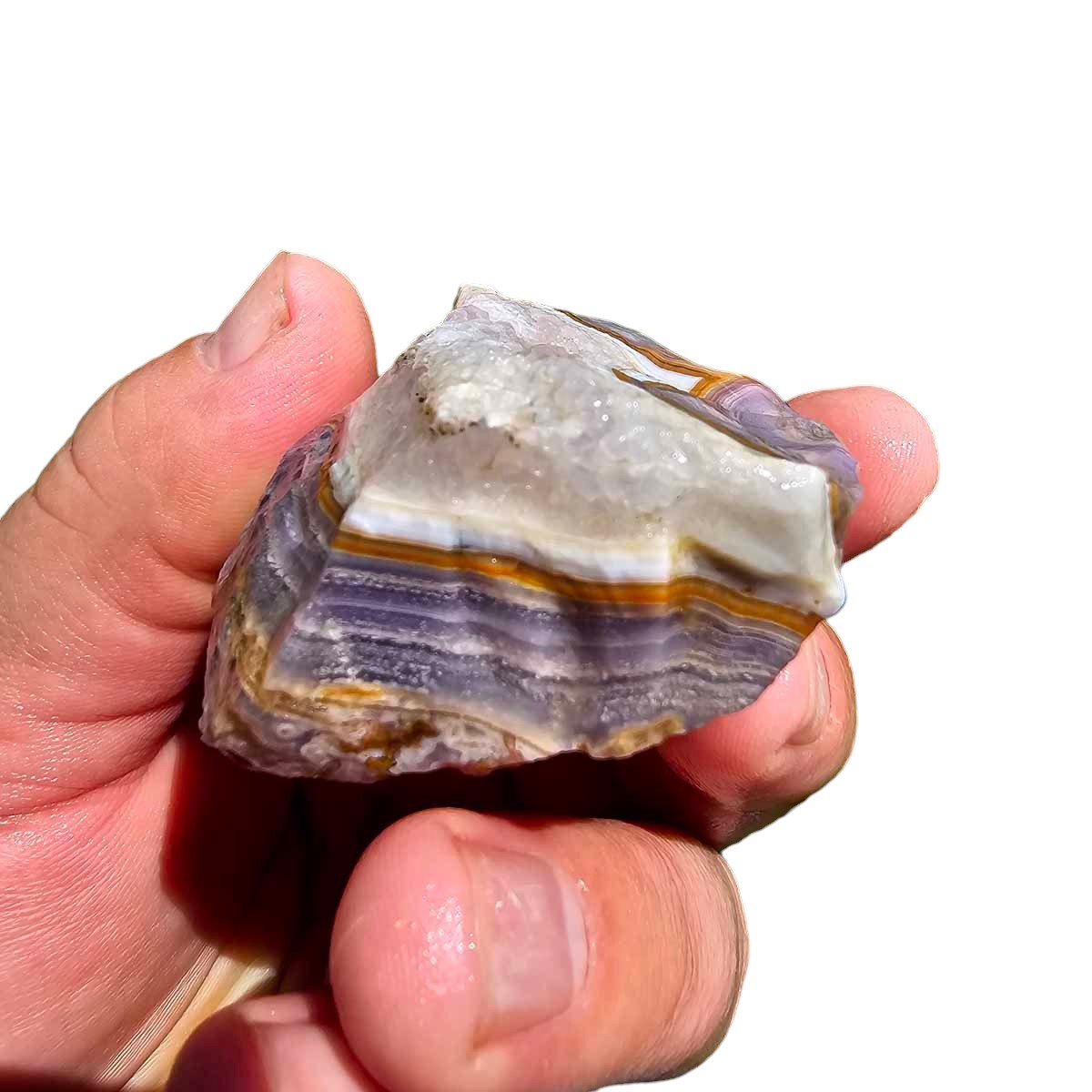 High Grade Select Agua Nueva Agate New Water Agate Rough Chunk!