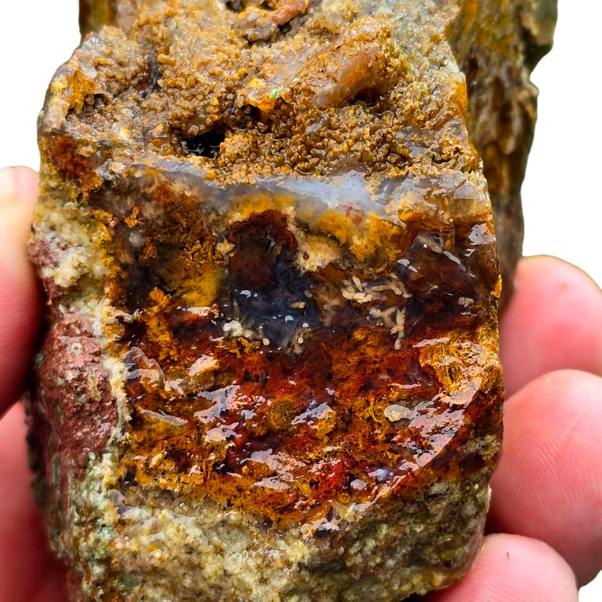 San Carlos Moss Agate Rough Chunk!