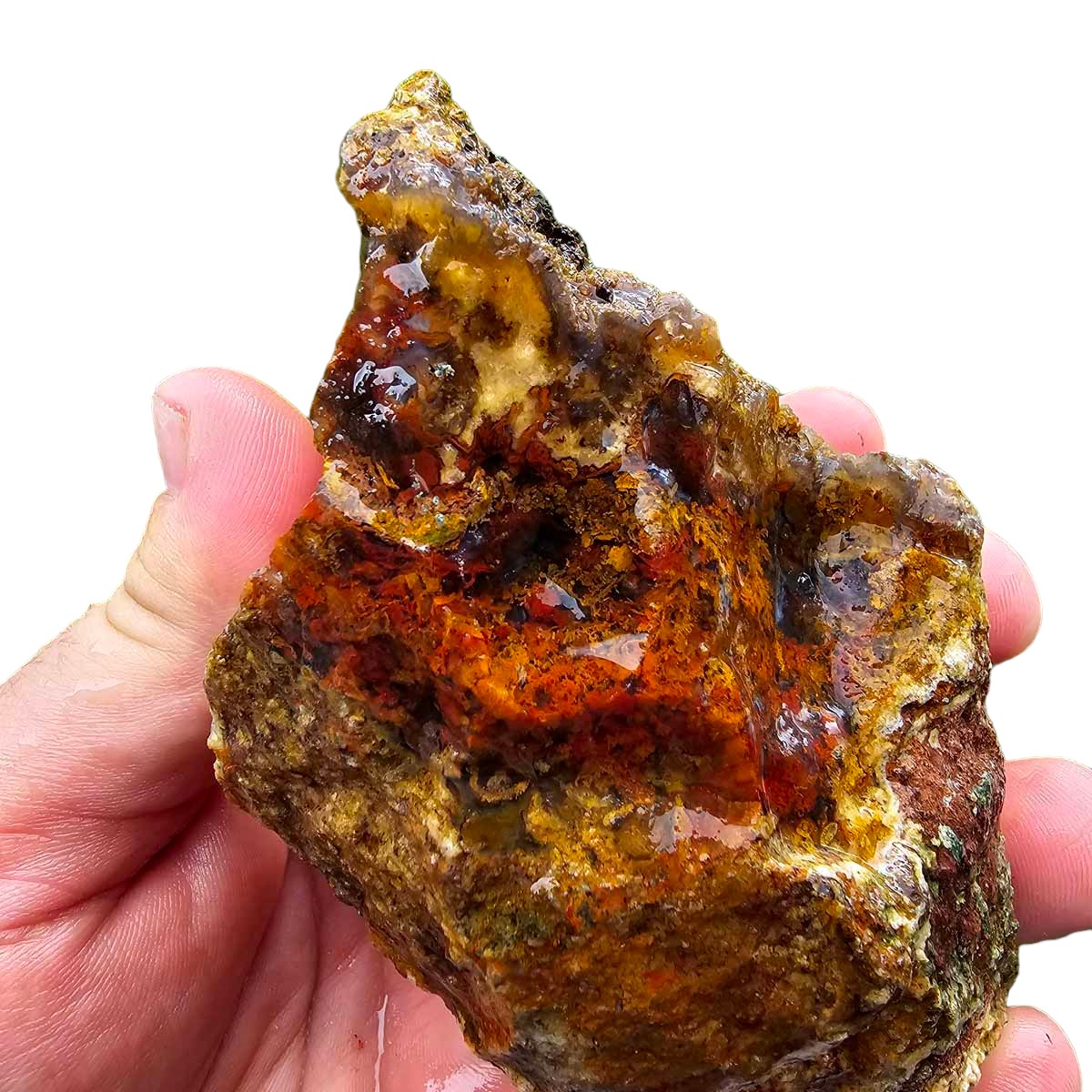 San Carlos Moss Agate Rough Chunk!