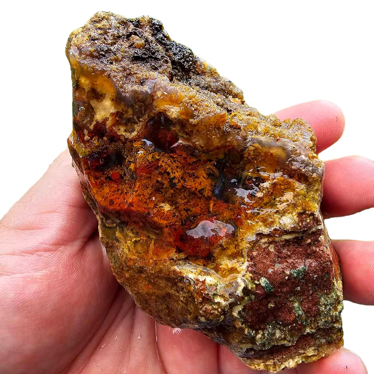 San Carlos Moss Agate Rough Chunk!