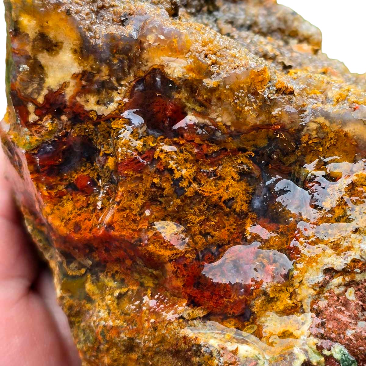 San Carlos Moss Agate Rough Chunk!