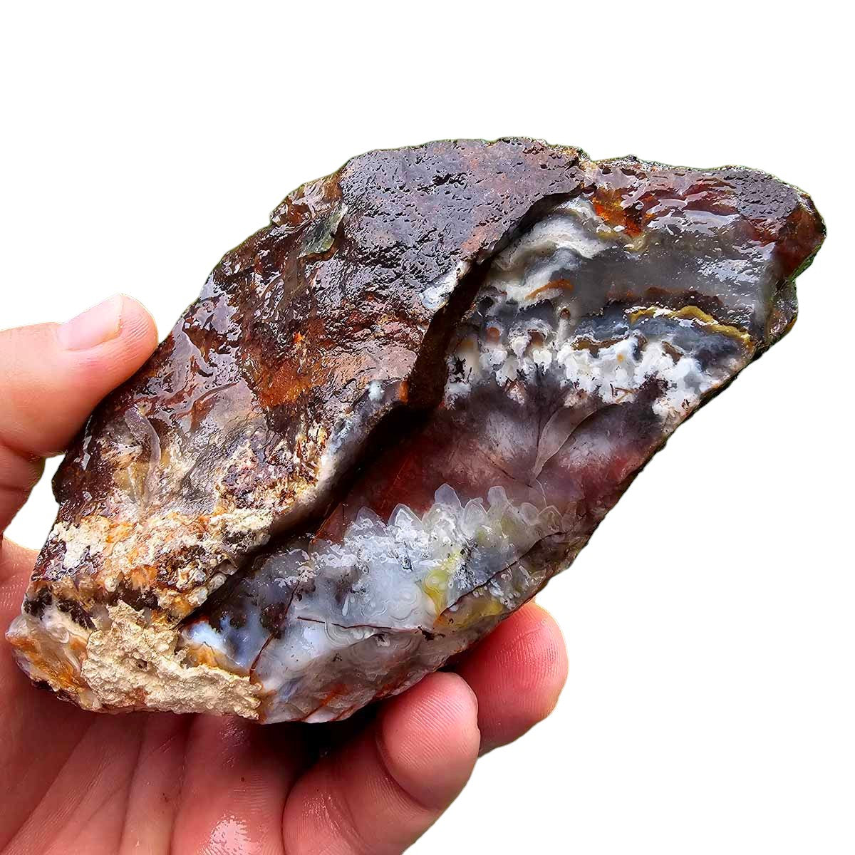 Sarape Jasper Crazy Lace Relative Rough Chunk!