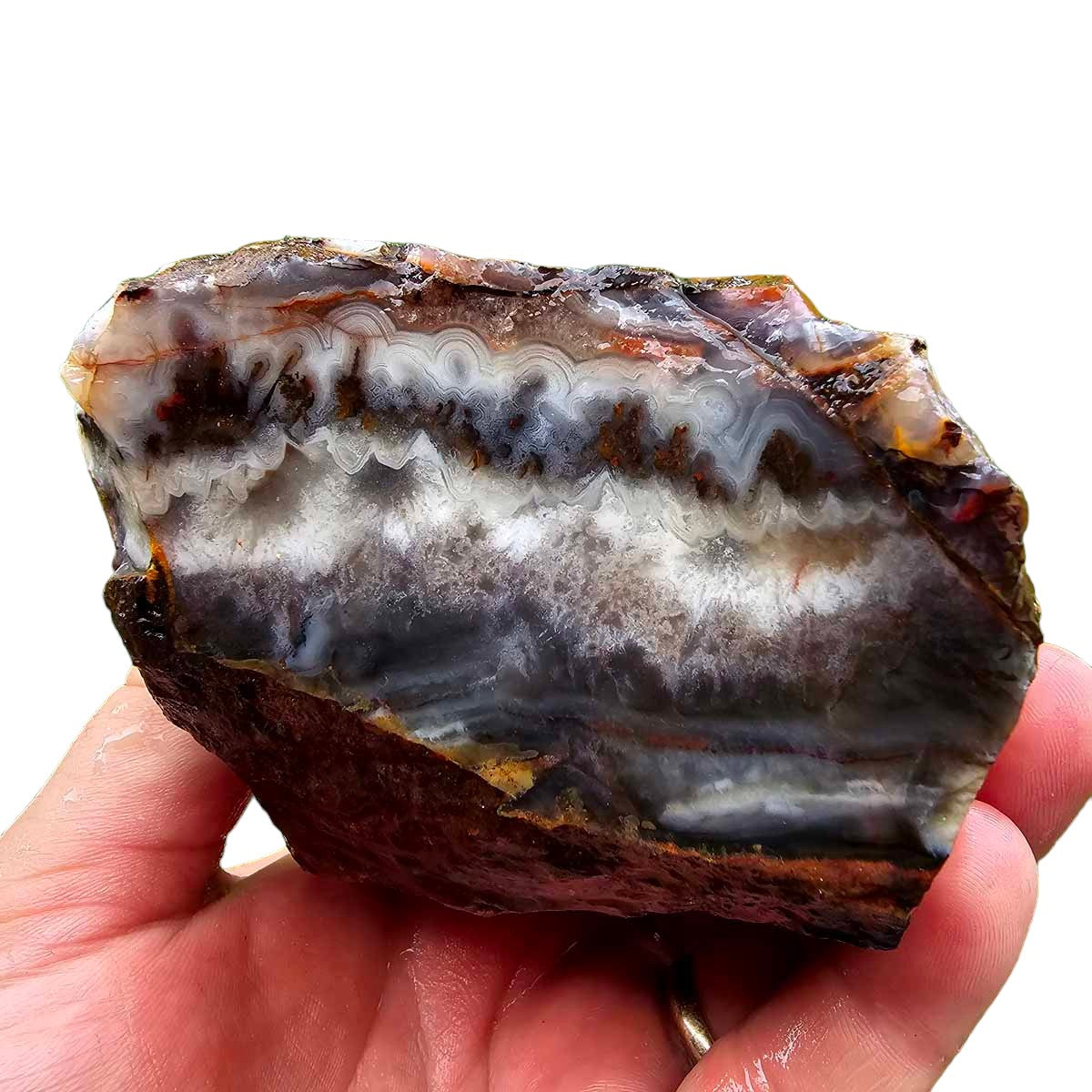 Sarape Jasper Crazy Lace Relative Rough Chunk!