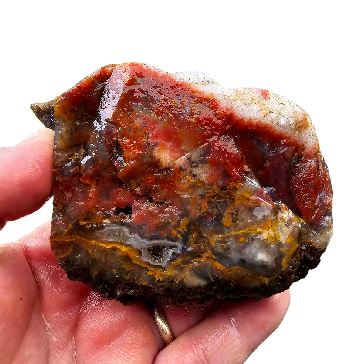 San Carlos Moss Agate Rough Chunk!