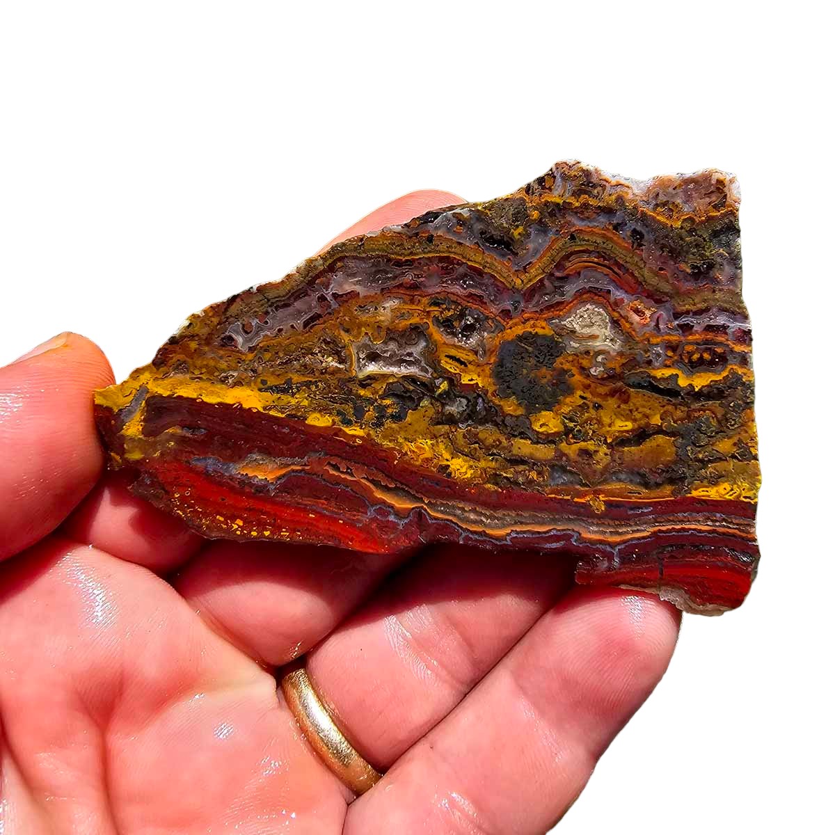 Apple Valley Jasper Slab!  Fossil Stromatolite Slab!