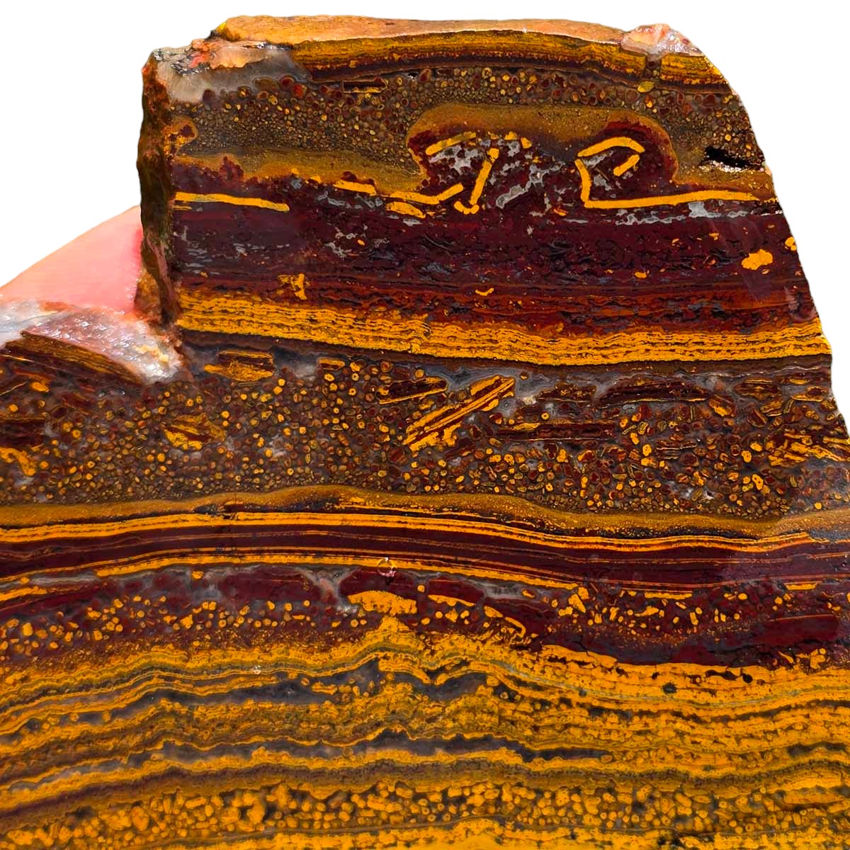 Apple Valley Jasper Slab!  Fossil Stromatolite Slab!