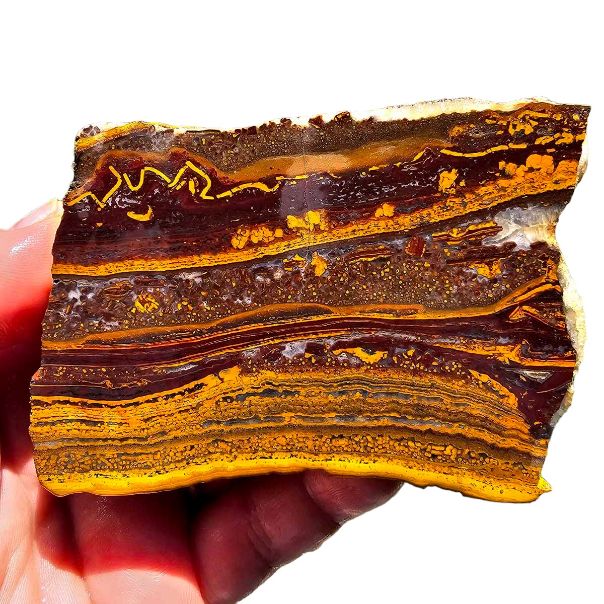 Apple Valley Jasper Endcut!  Fossil Stromatolite!