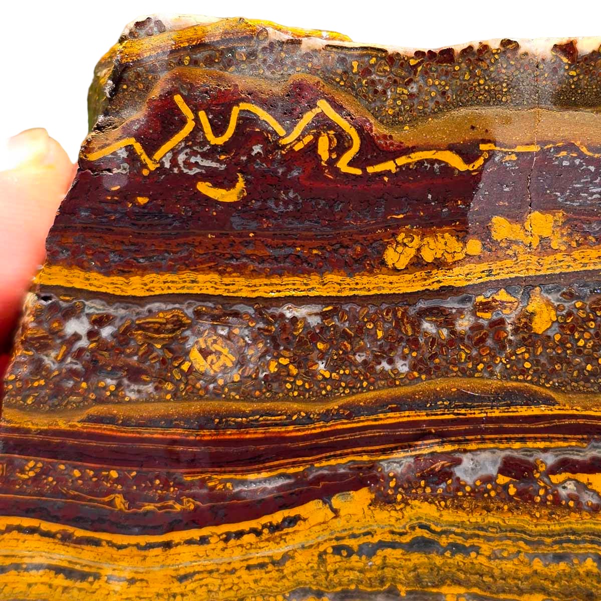 Apple Valley Jasper Endcut!  Fossil Stromatolite!