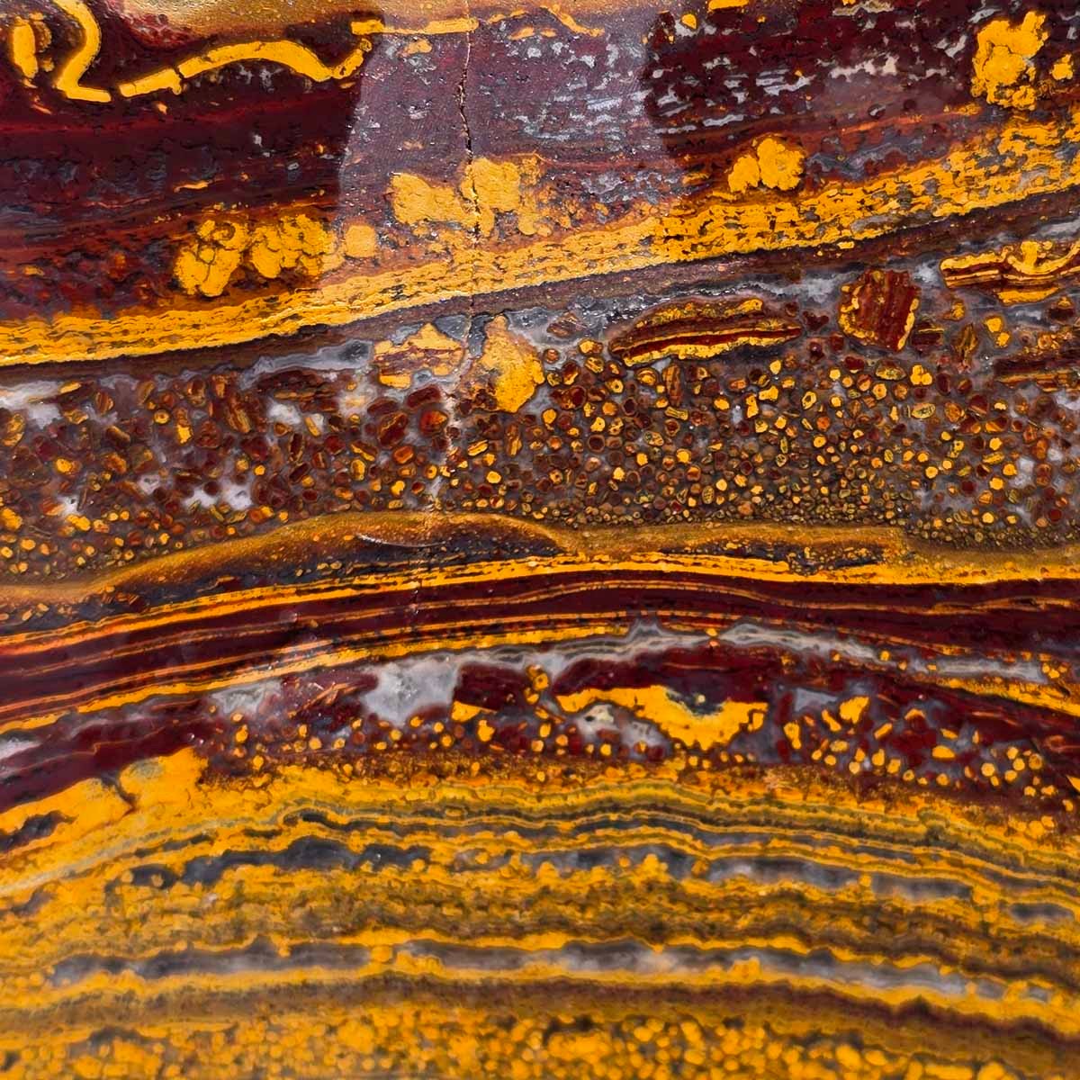 Apple Valley Jasper Endcut!  Fossil Stromatolite!