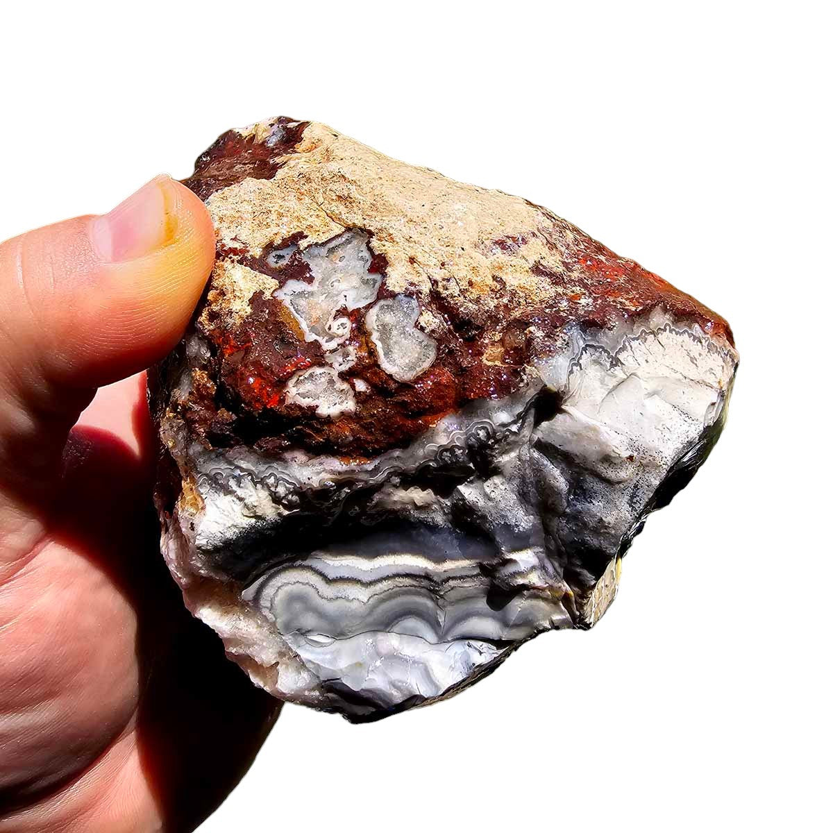 Crazy Lace Agate Lapidary Rough Chunk