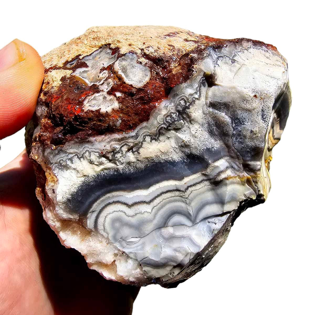 Crazy Lace Agate Lapidary Rough Chunk