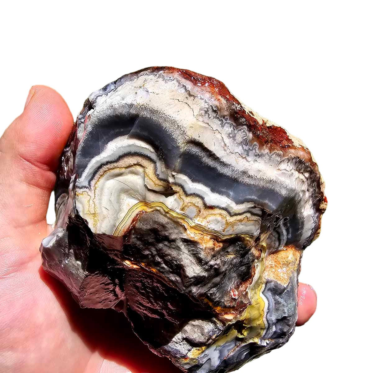 Crazy Lace Agate Lapidary Rough Chunk