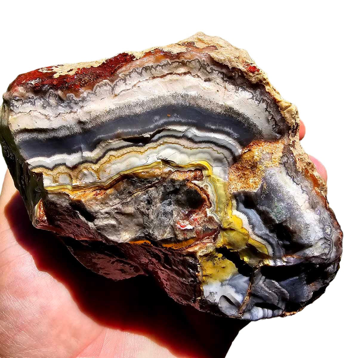 Crazy Lace Agate Lapidary Rough Chunk