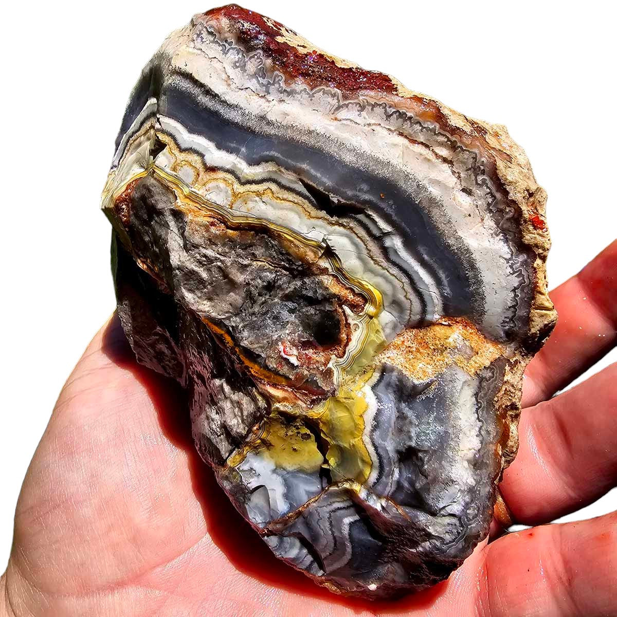 Crazy Lace Agate Lapidary Rough Chunk