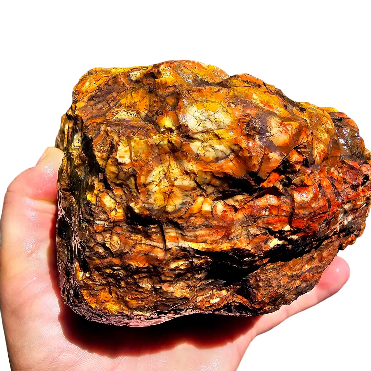 Old Stock Birdseye Rhyolite Rough Chunk!