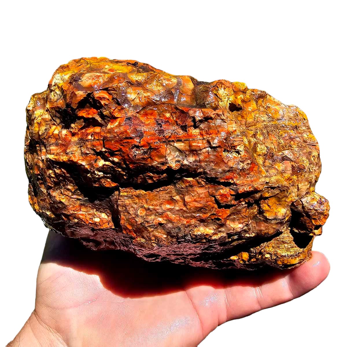 Old Stock Birdseye Rhyolite Rough Chunk!