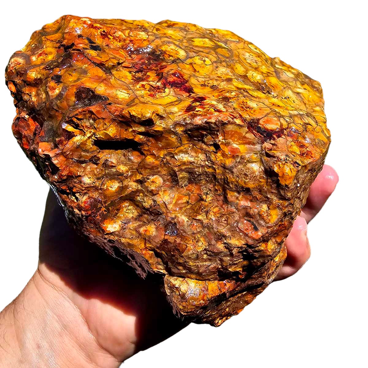 Old Stock Birdseye Rhyolite Rough Chunk!