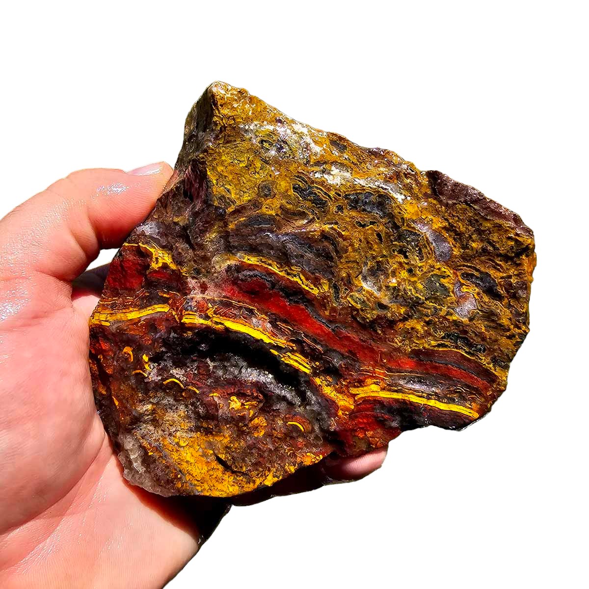 Apple Valley Jasper Rough!  Fossil Stromatolite!