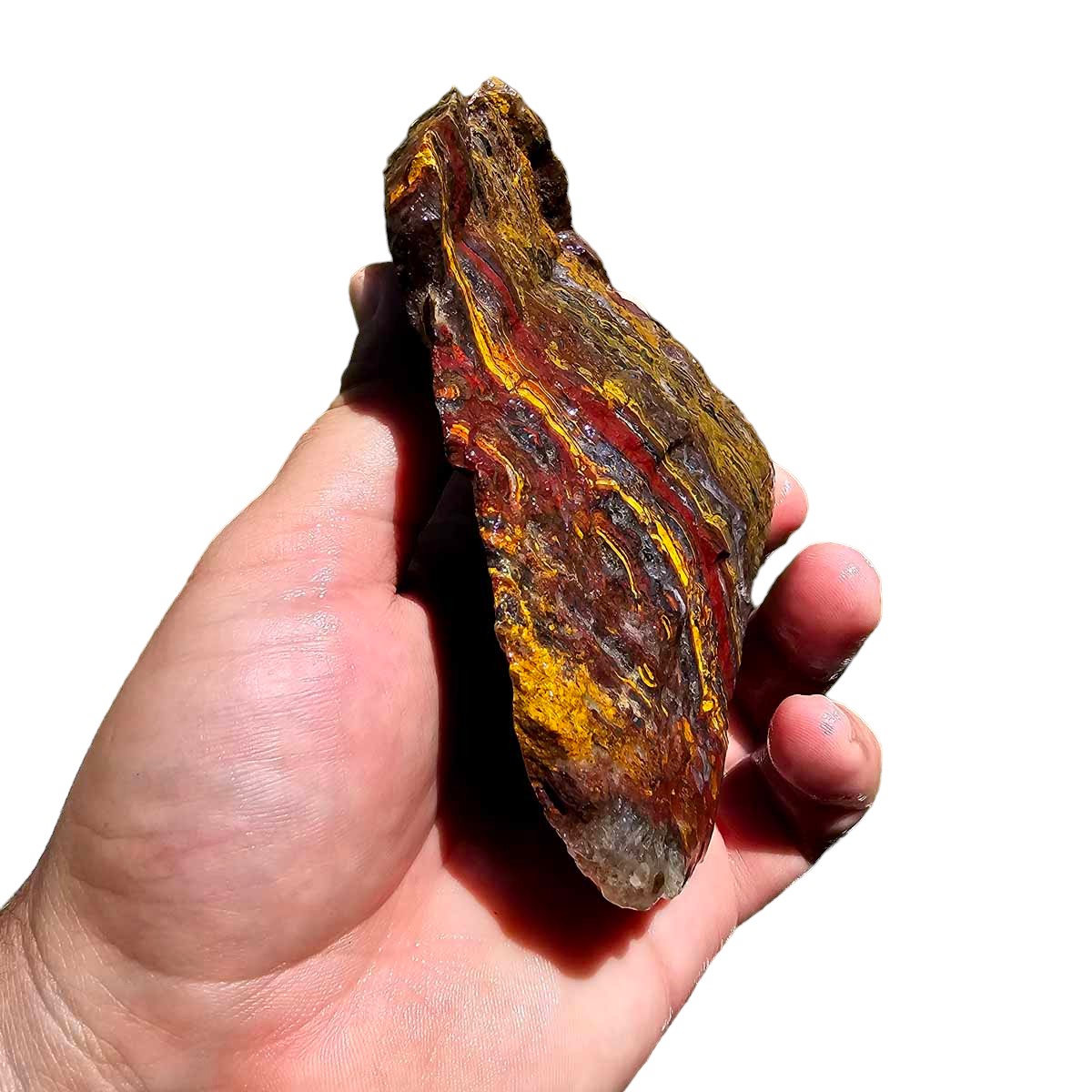 Apple Valley Jasper Rough!  Fossil Stromatolite!