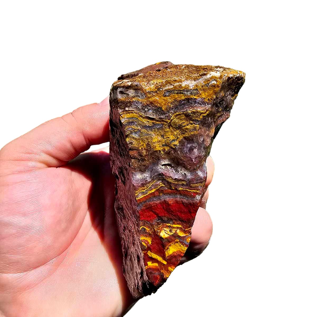 Apple Valley Jasper Rough!  Fossil Stromatolite!