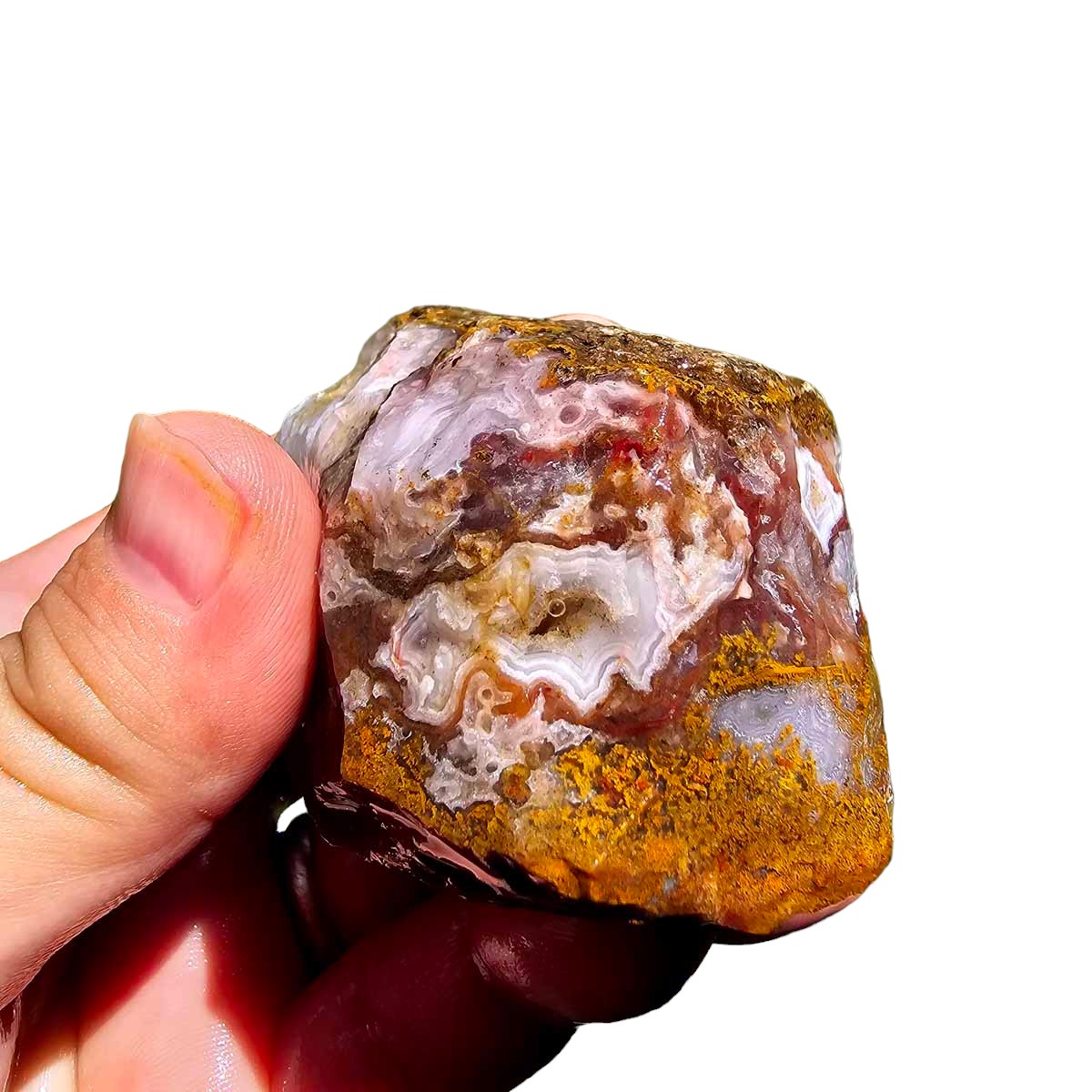 Agua Nueva Agate New Water Agate Rough Chunk!