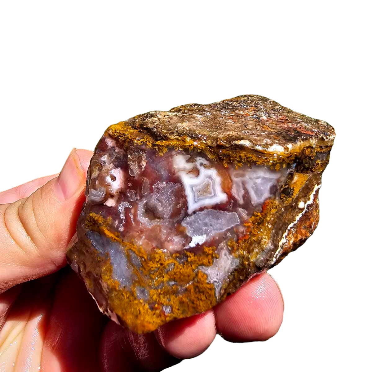 Agua Nueva Agate New Water Agate Rough Chunk!