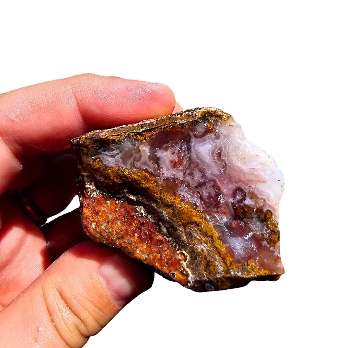 Agua Nueva Agate New Water Agate Rough Chunk!