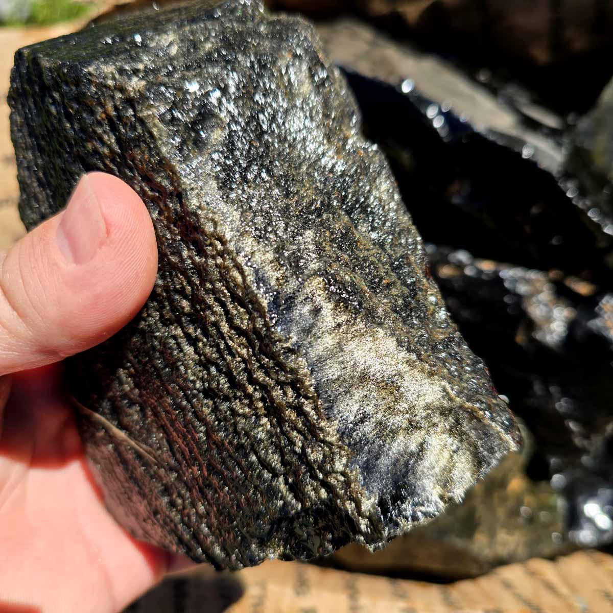 Mexican Gold and Silver Sheen Obsidian Rough Flatrate!