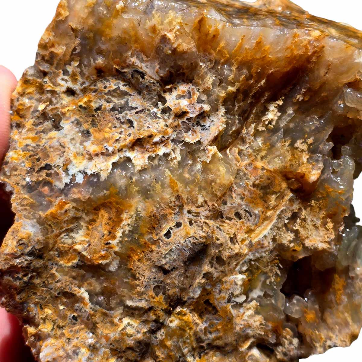 Eagle Rock Plume Agate Lapidary Crystal Rough Chunk