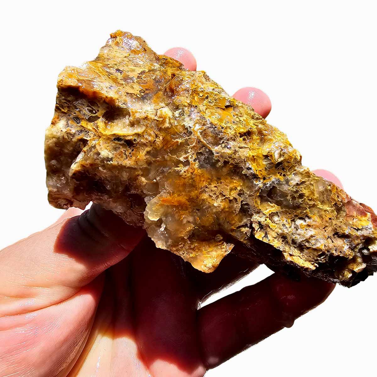 Eagle Rock Plume Agate Lapidary Crystal Rough Chunk