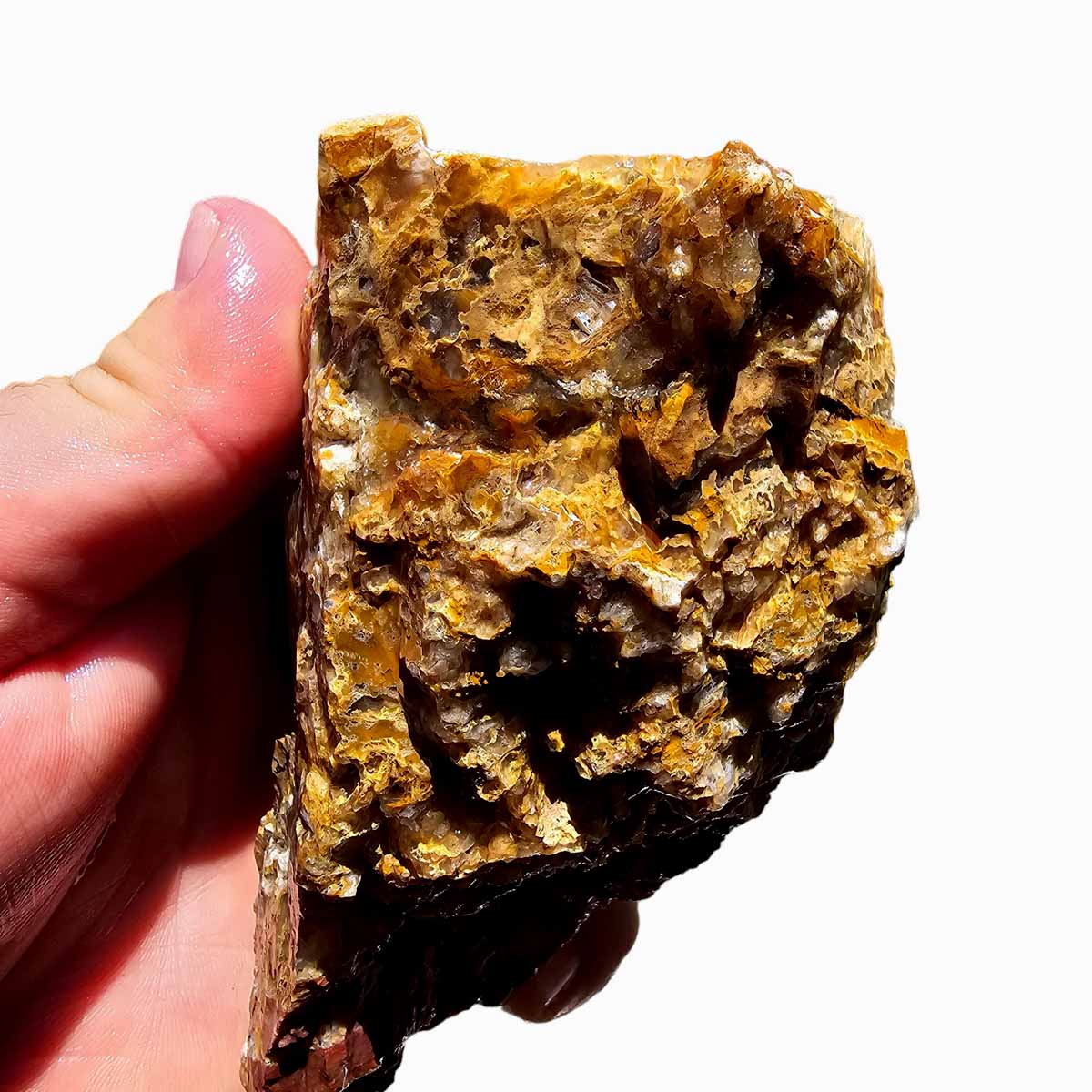 Eagle Rock Plume Agate Lapidary Crystal Rough Chunk