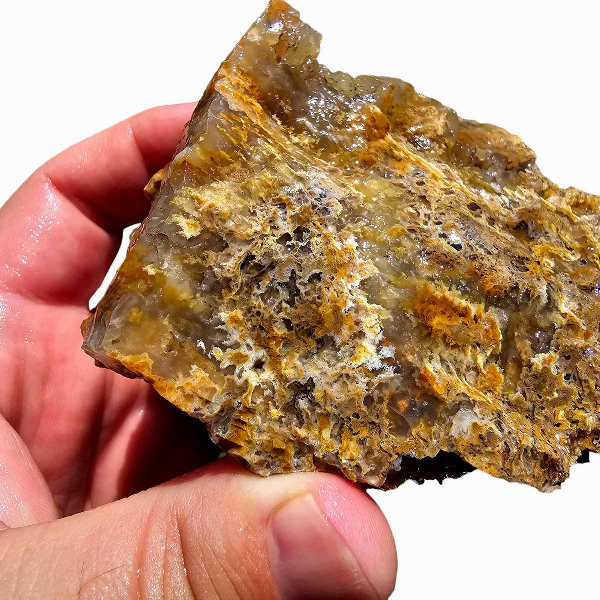 Eagle Rock Plume Agate Lapidary Crystal Rough Chunk