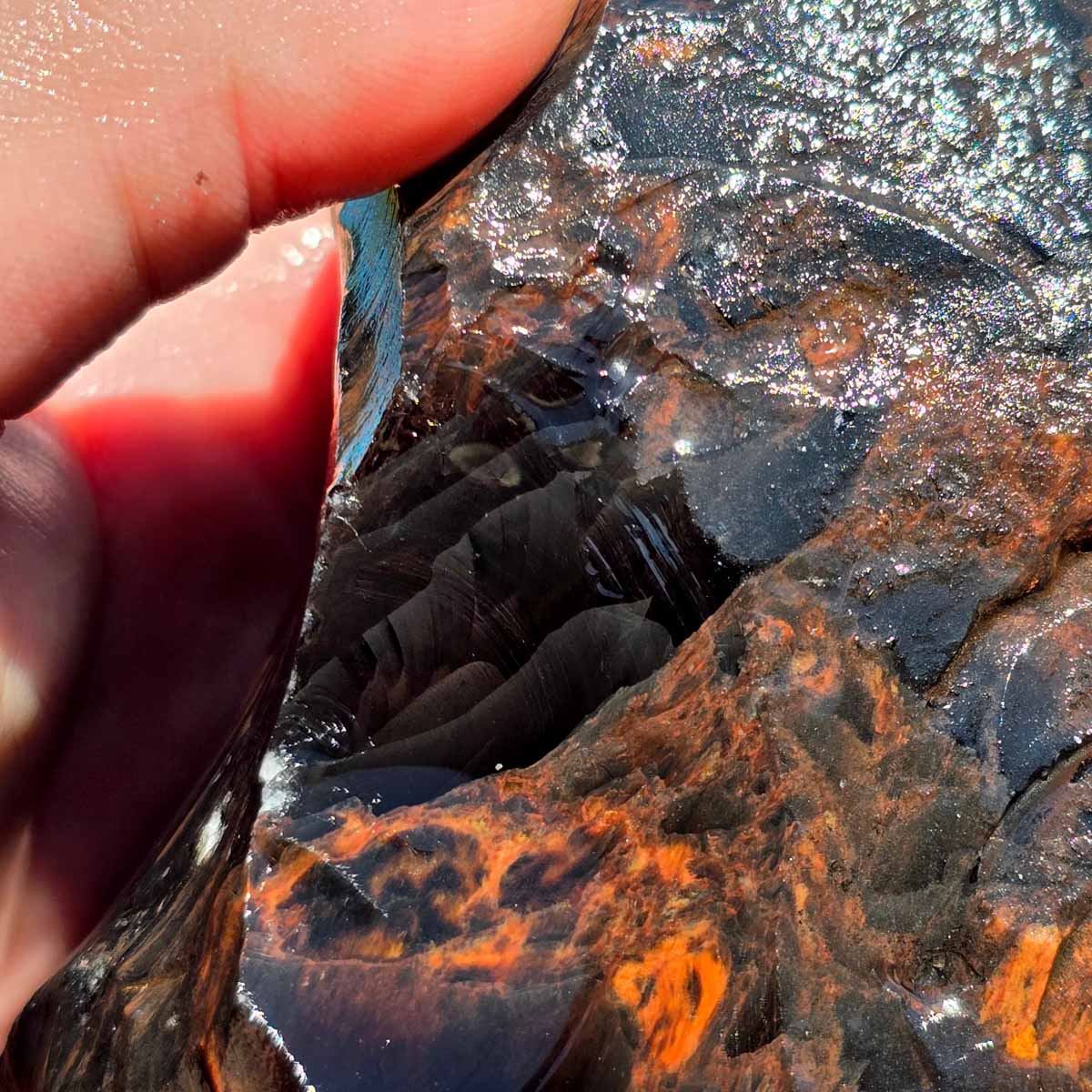 Tri-Flow Obsidian Rough Chunk from Glass Butte Oregon