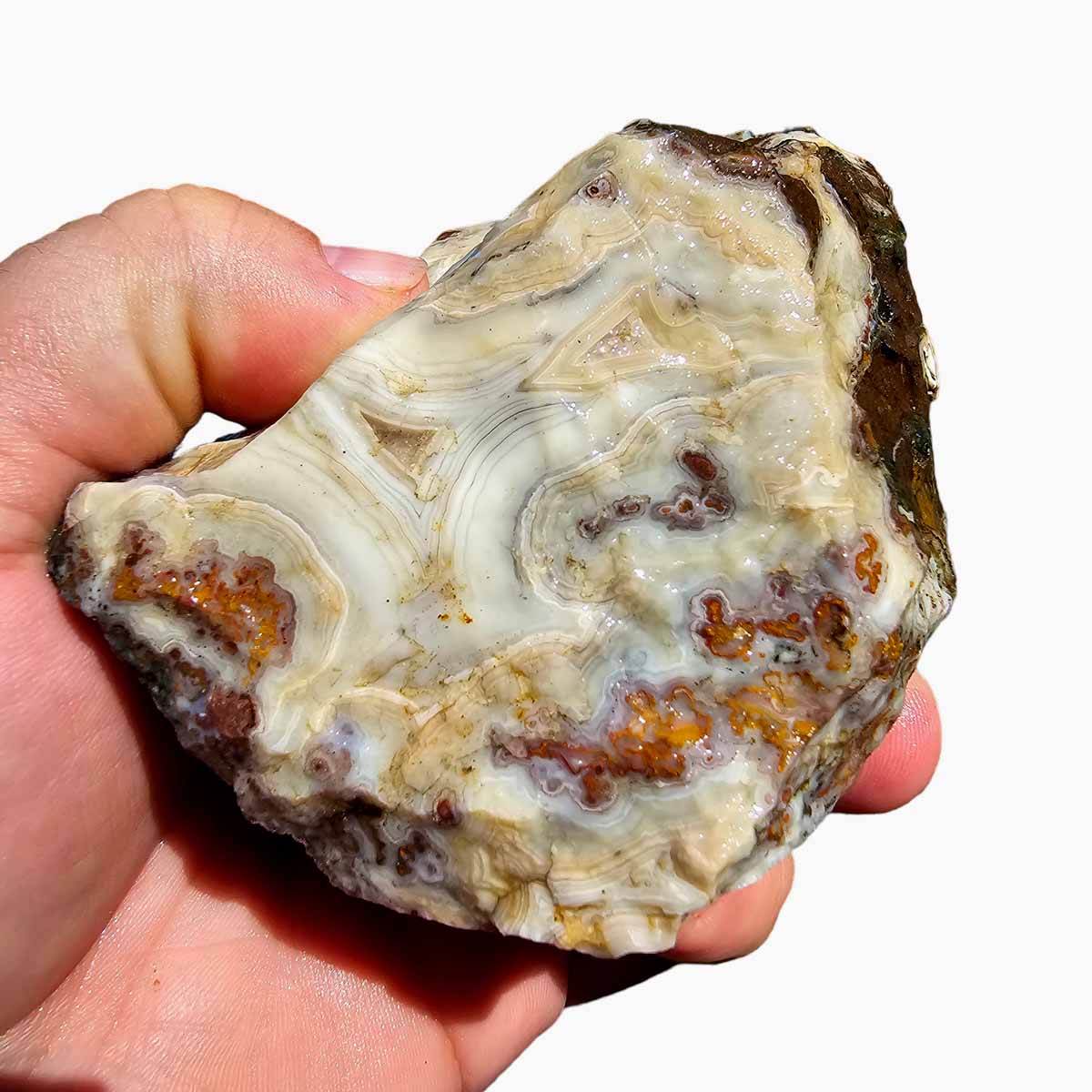 Apple Valley Agate Lapidary Rough Chunk Morocco