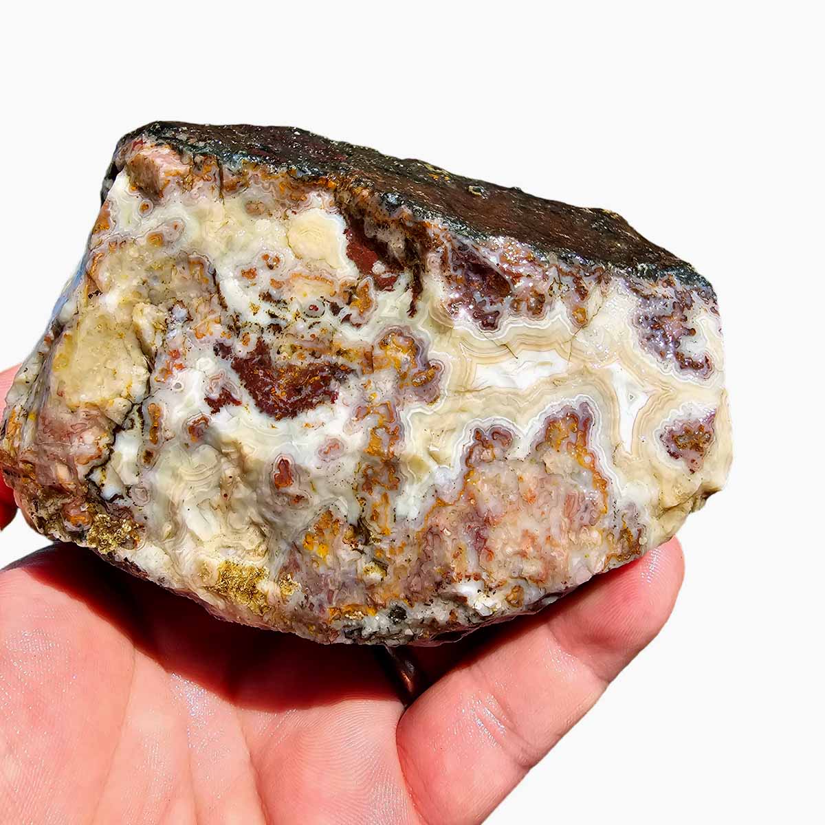 Apple Valley Agate Lapidary Rough Chunk Morocco