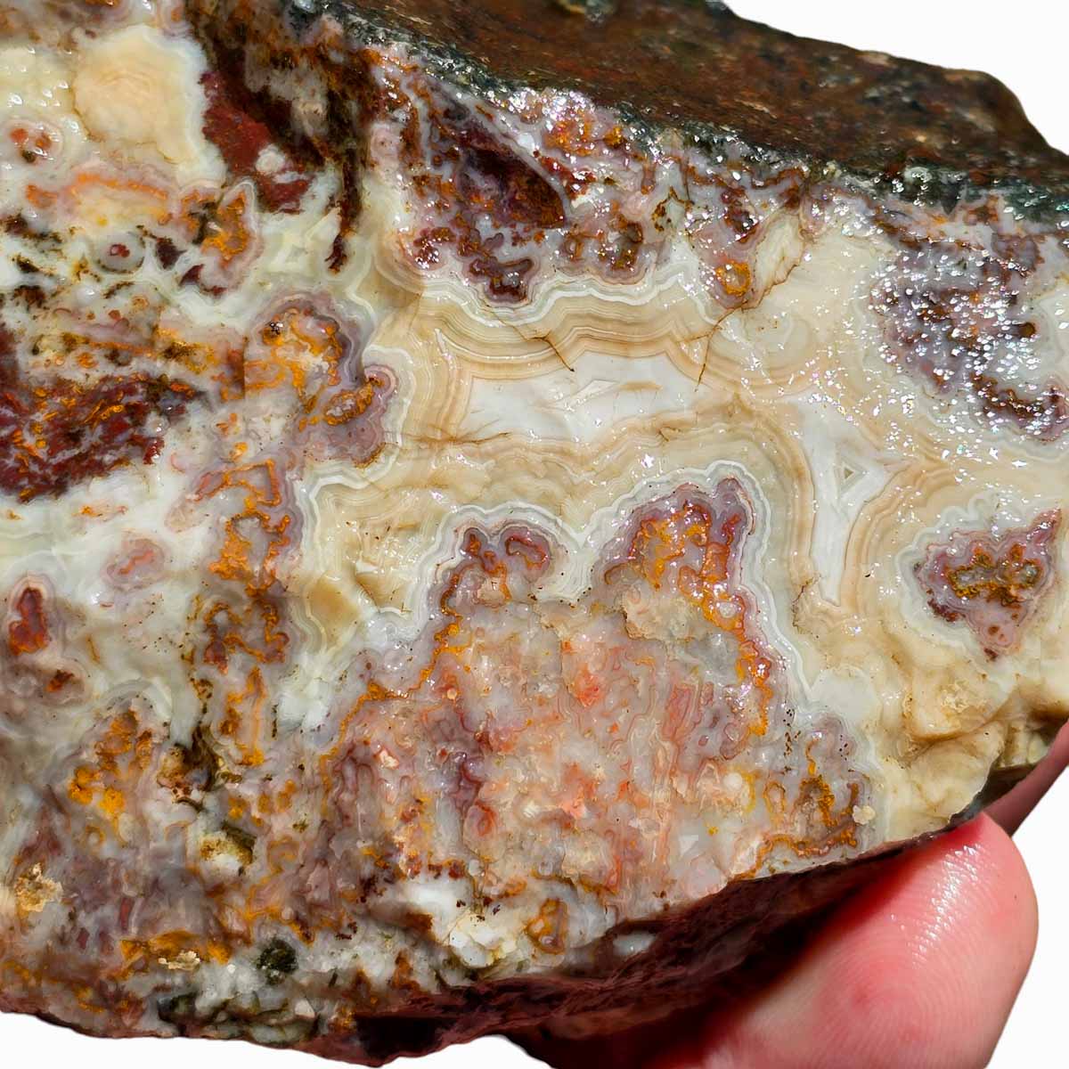 Apple Valley Agate Lapidary Rough Chunk Morocco