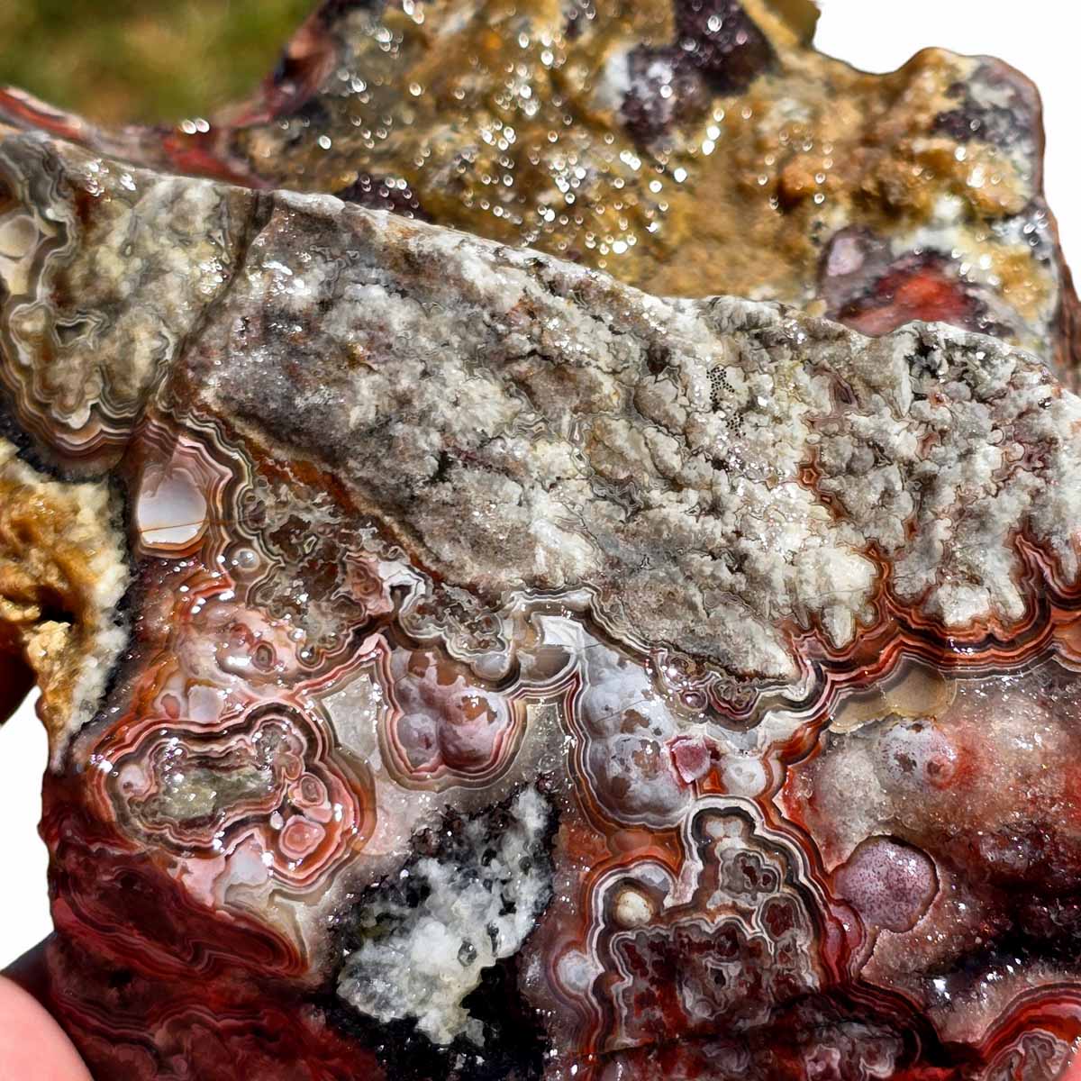 Crazy Lace Agate Lapidary Rough Chunk