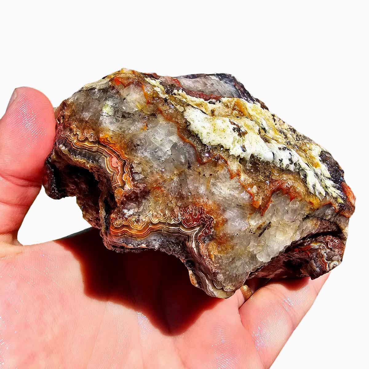 Crazy Lace Agate Lapidary Rough Chunk