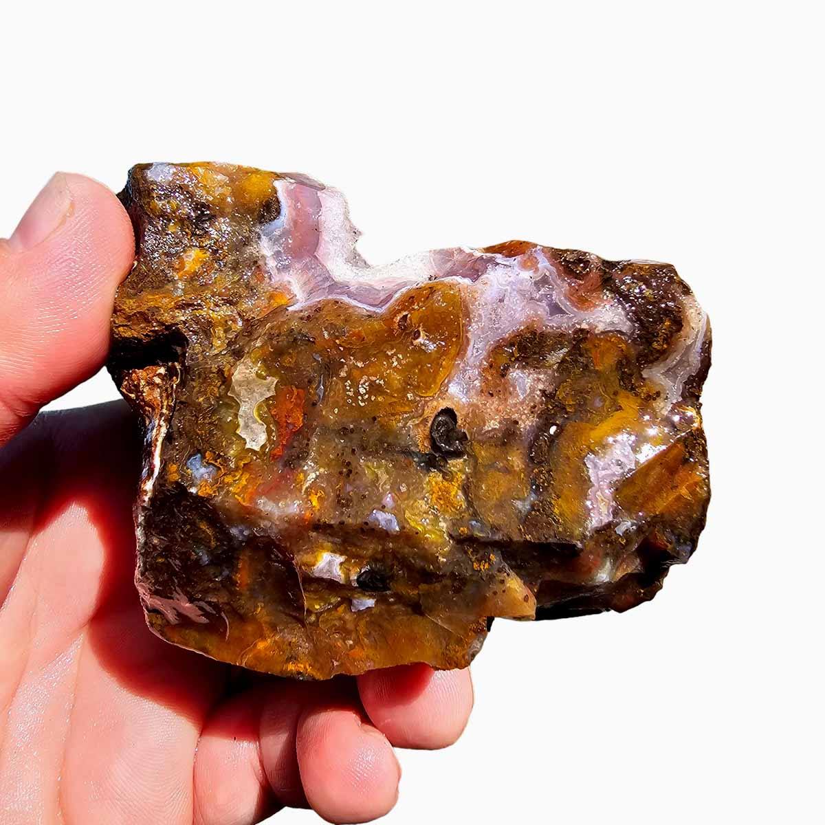 Agua Nueva Agate New Water Agate Rough Chunk