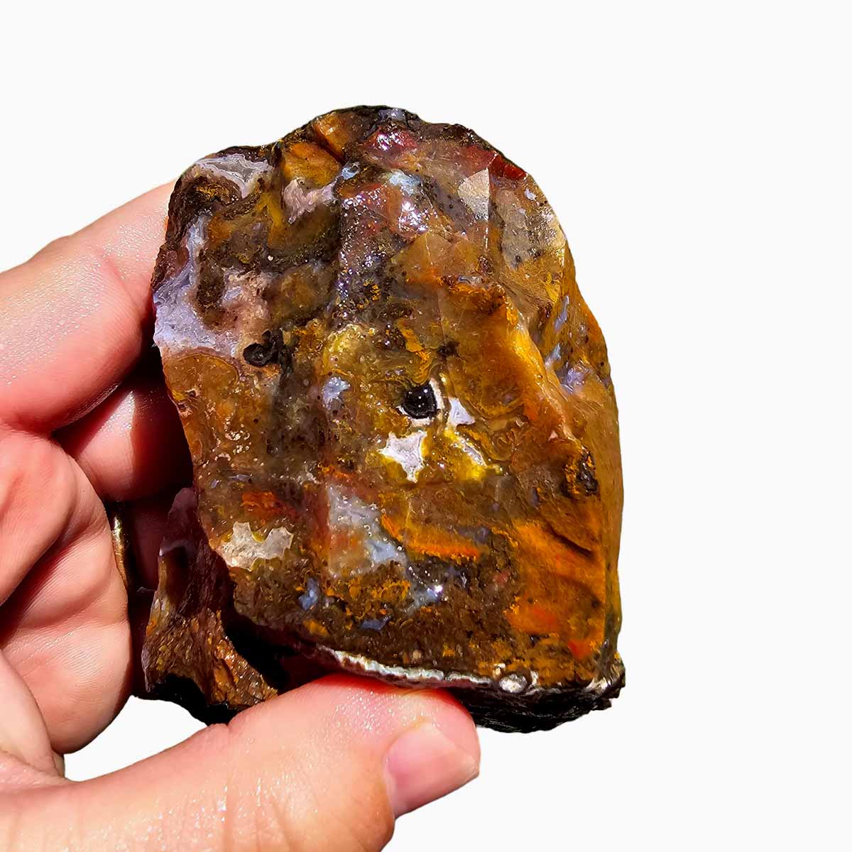 Agua Nueva Agate New Water Agate Rough Chunk