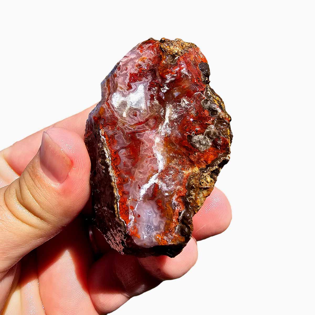 Agua Nueva Agate New Water Agate Rough Chunk