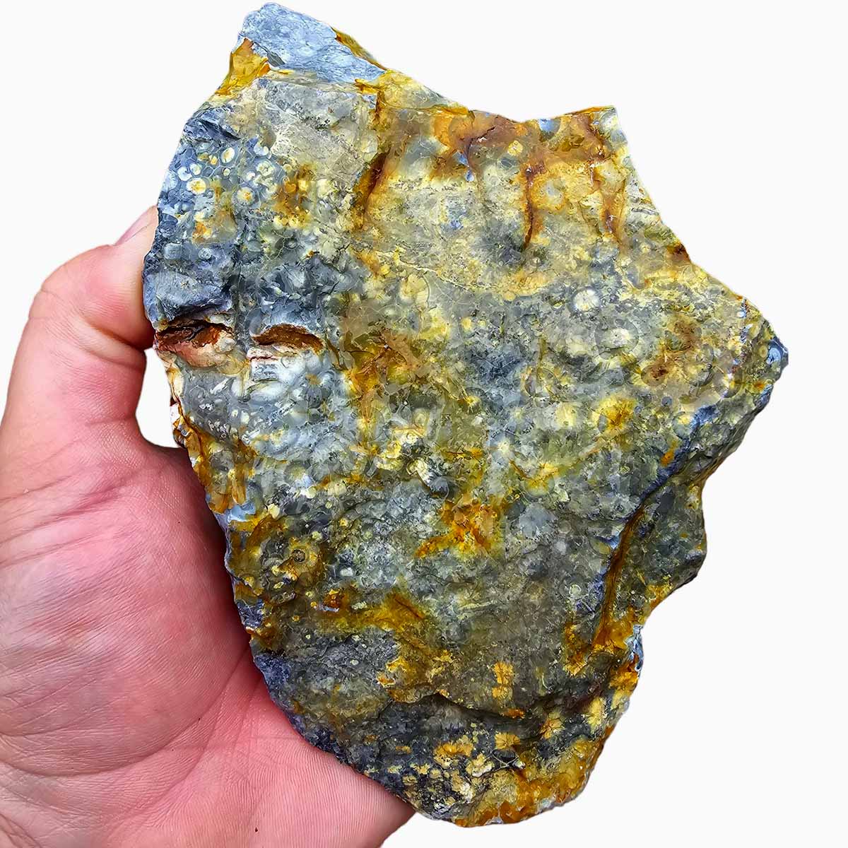 Galaxy Galactica Orbicular Rhyolite Jasper Rough Chunk