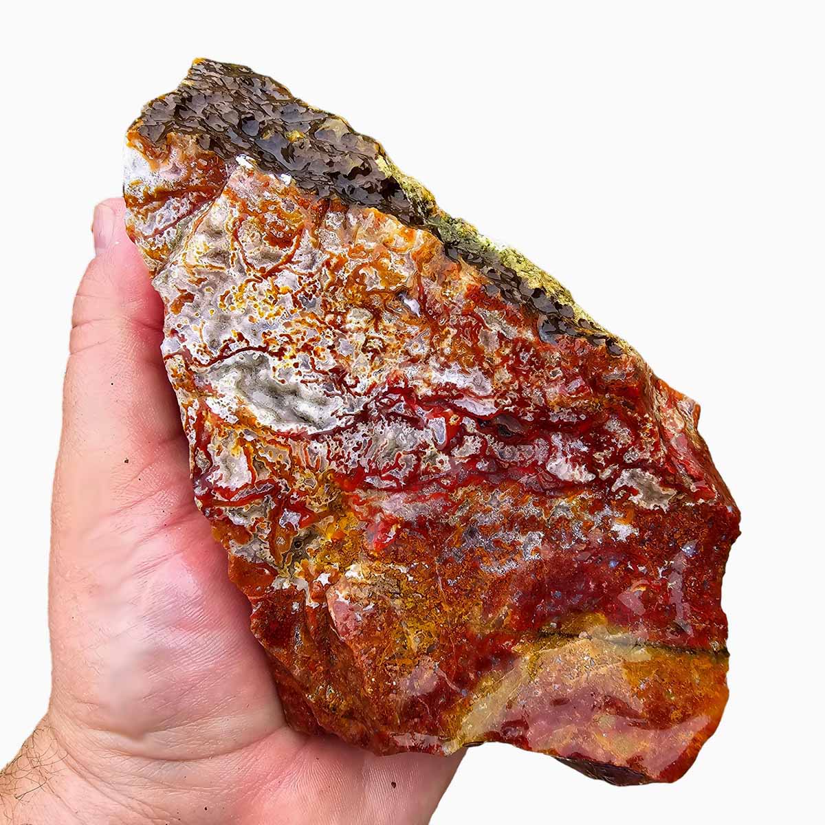 Agua Nueva Agate New Water Agate Rough Chunk