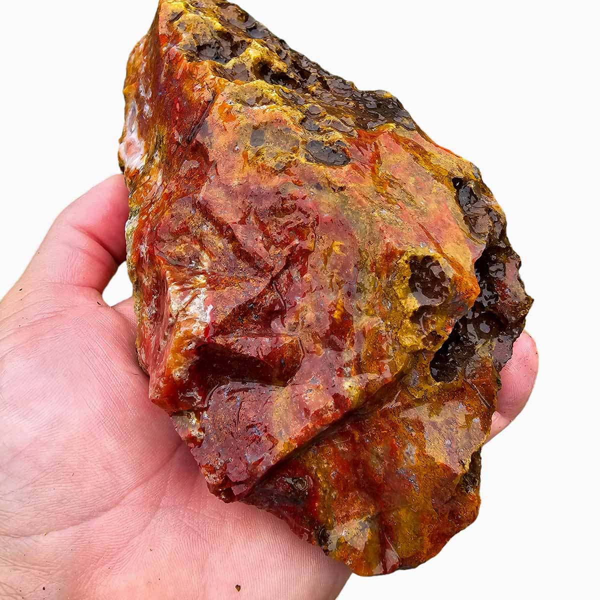 Agua Nueva Agate New Water Agate Rough Chunk