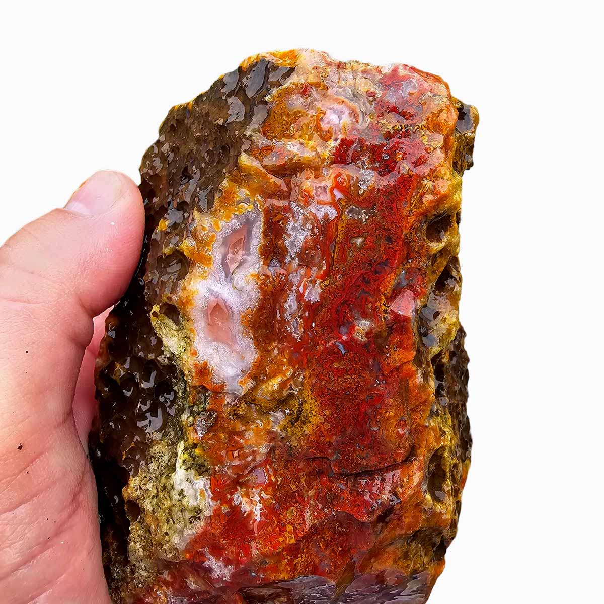 Agua Nueva Agate New Water Agate Rough Chunk