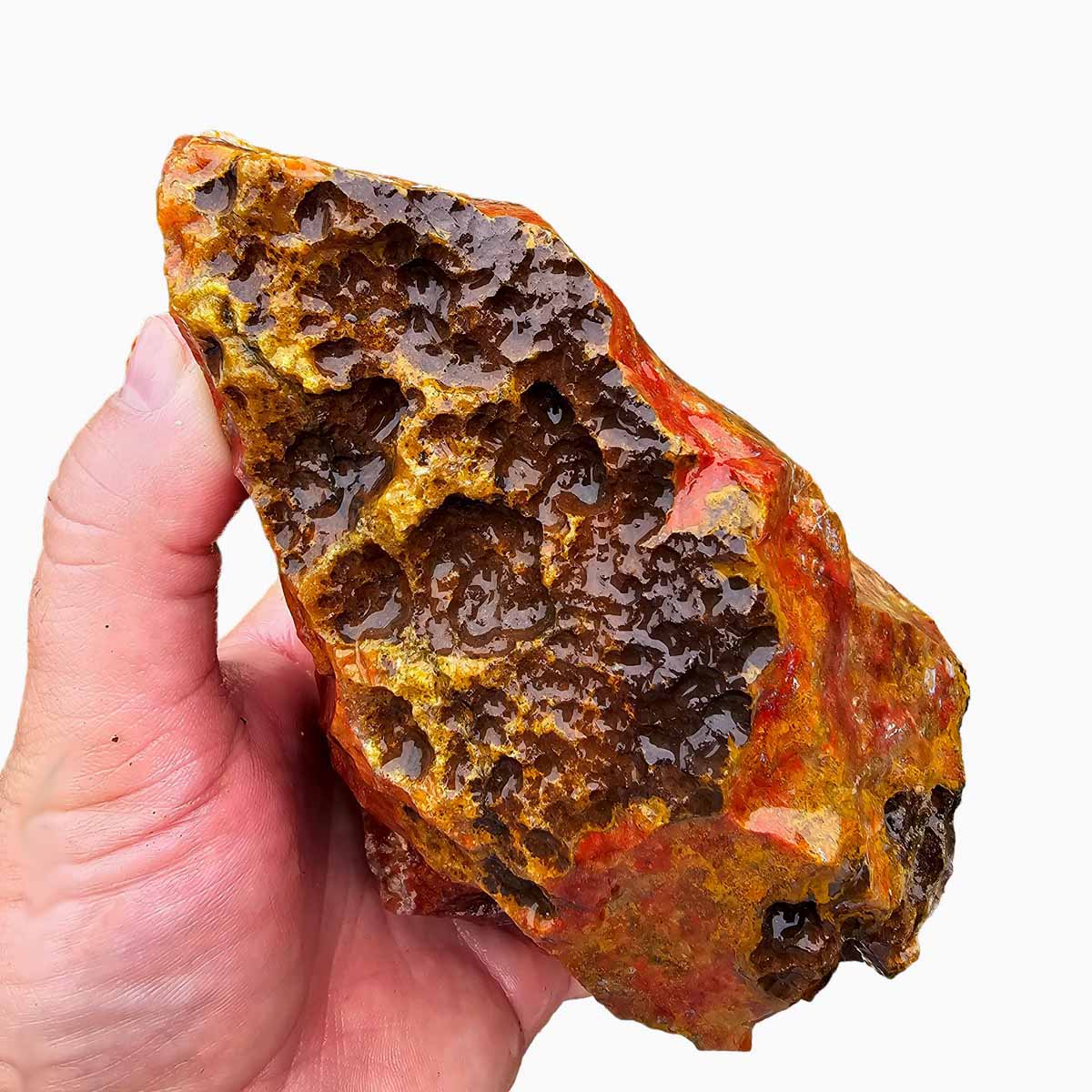 Agua Nueva Agate New Water Agate Rough Chunk