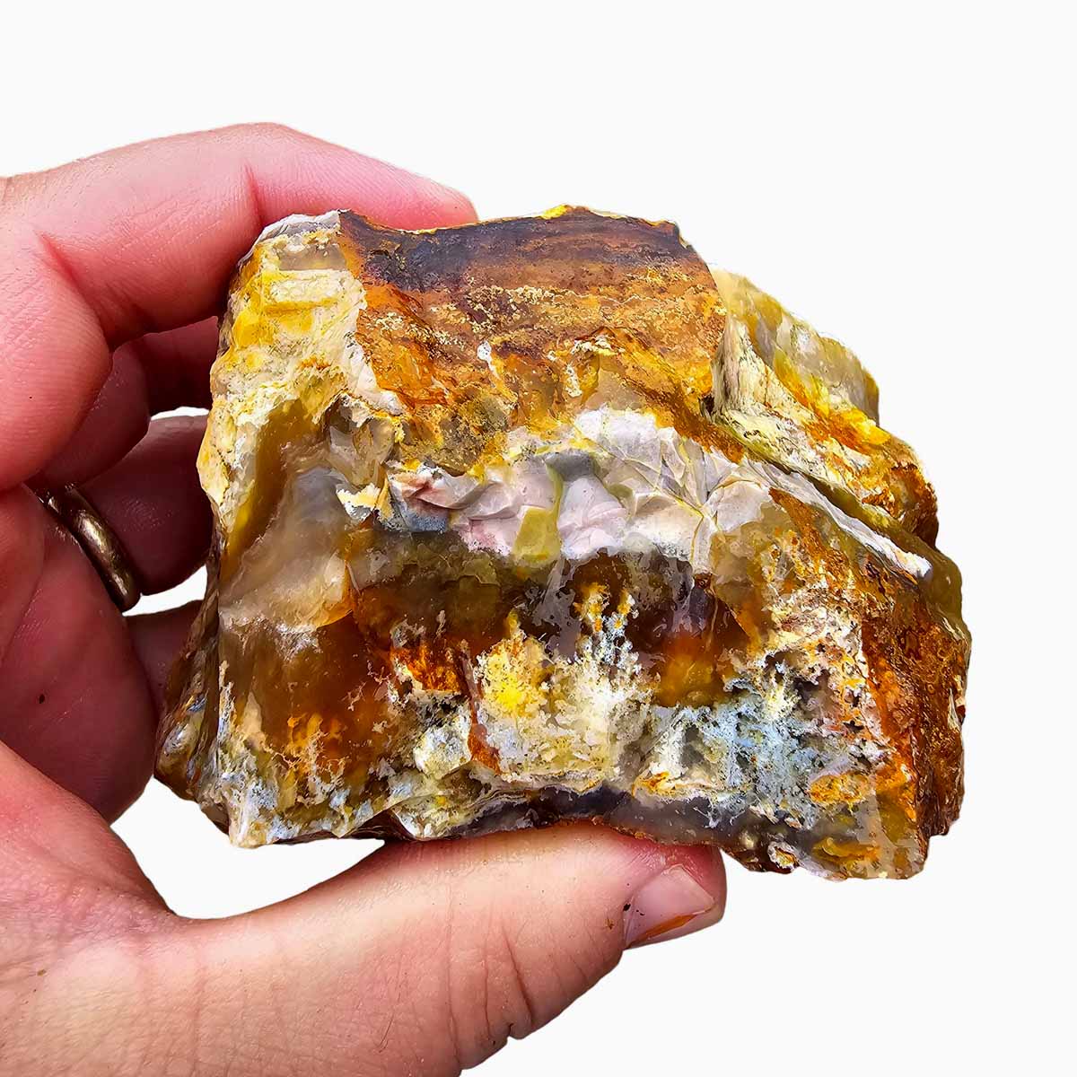 Regency Rose Plume Agate Lapidary Cutting Rough Chunk