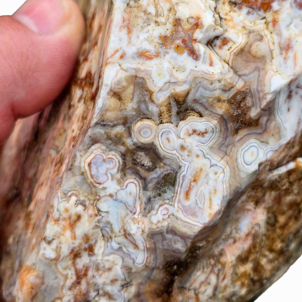 Apple Valley Agate Lapidary Rough Chunk Morocco