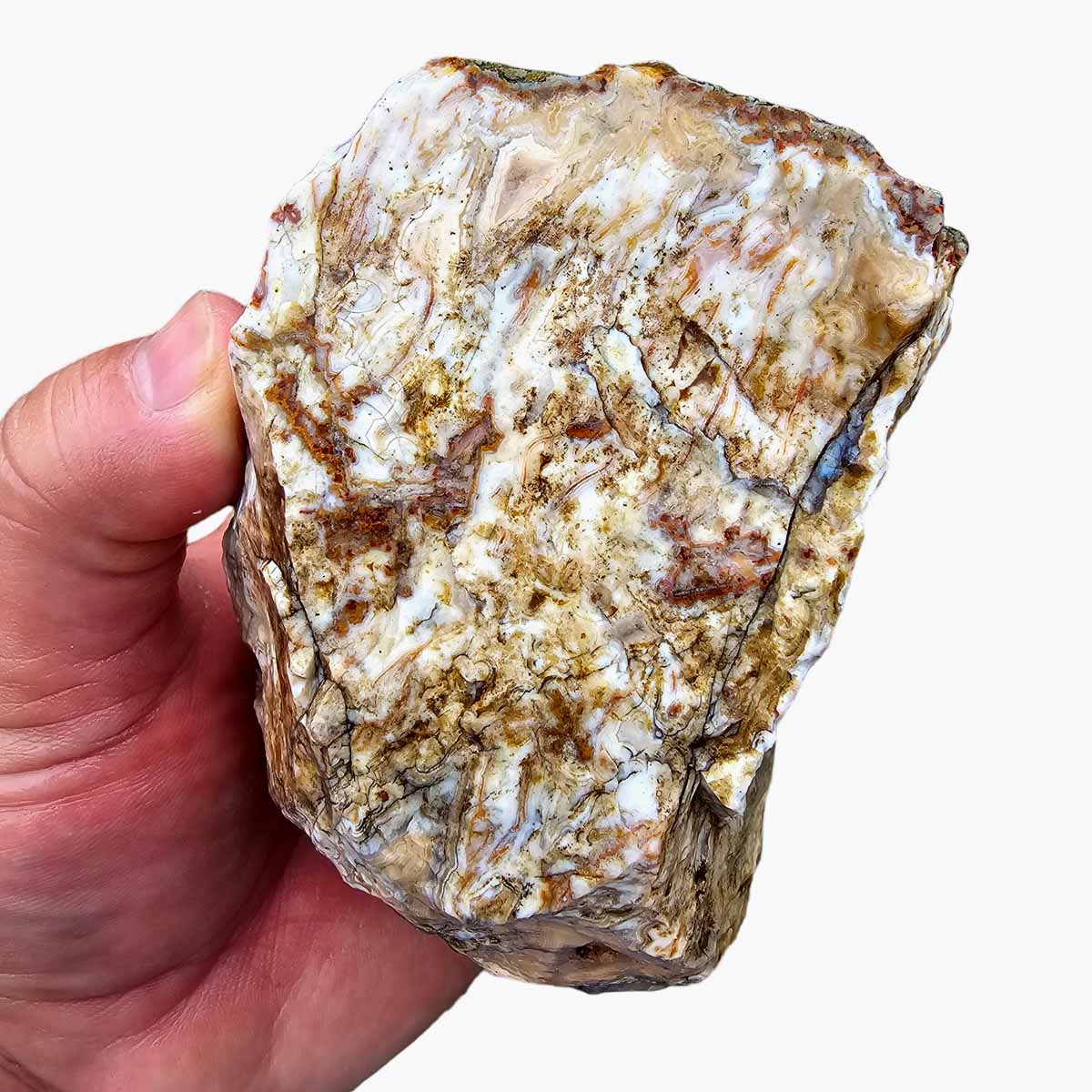 Apple Valley Agate Lapidary Rough Chunk Morocco