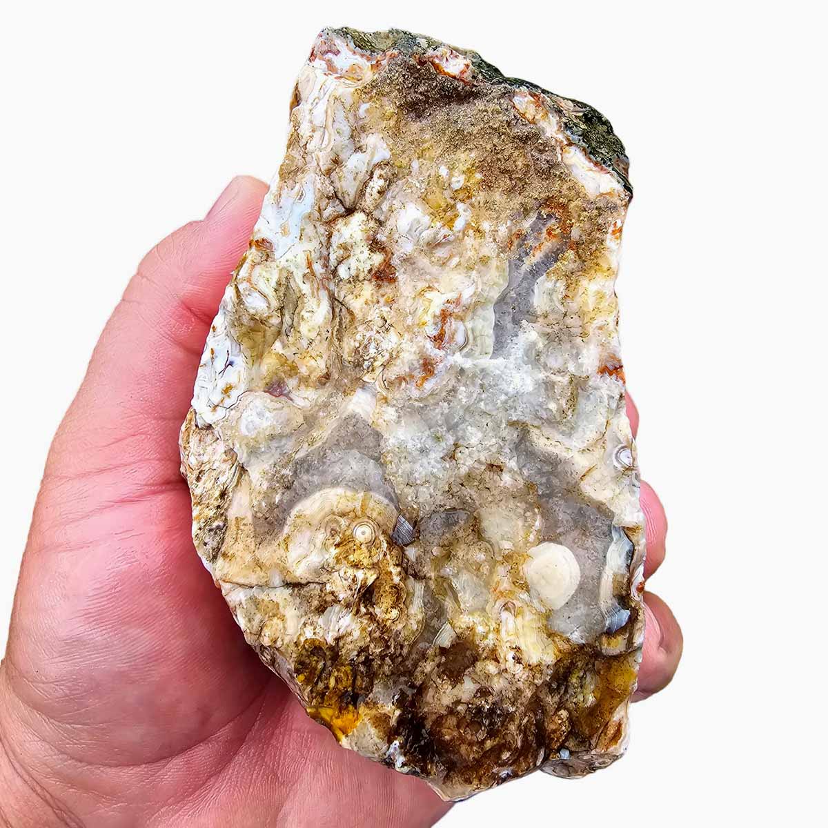 Apple Valley Agate Lapidary Rough Chunk Morocco